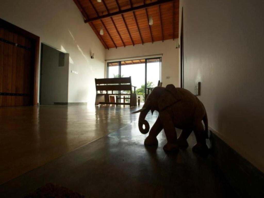 Mangrove Escapes Resort بينتوتا المظهر الخارجي الصورة