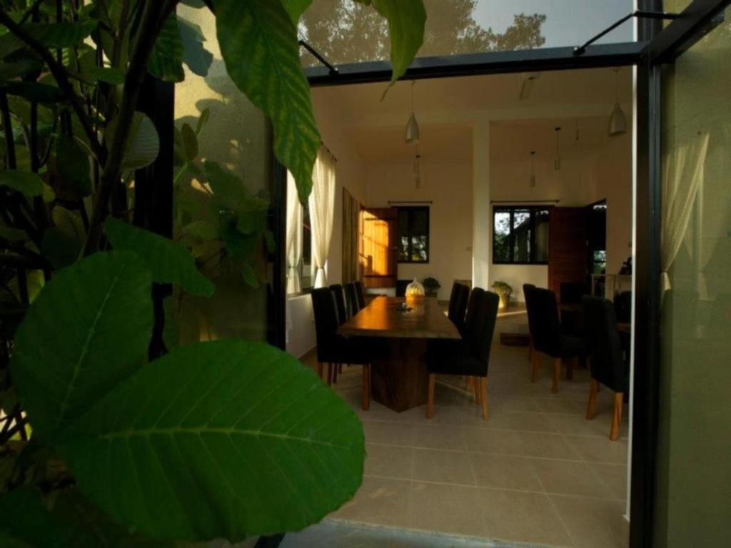 Mangrove Escapes Resort بينتوتا المظهر الخارجي الصورة