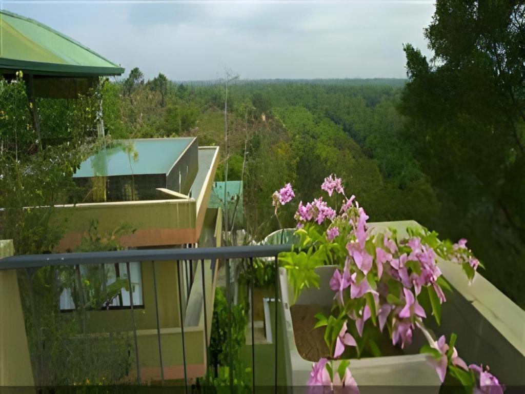 Mangrove Escapes Resort بينتوتا المظهر الخارجي الصورة