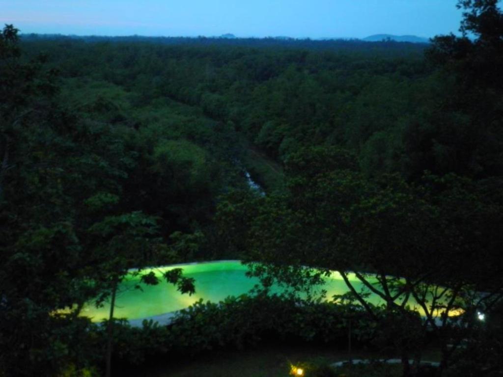 Mangrove Escapes Resort بينتوتا المظهر الخارجي الصورة