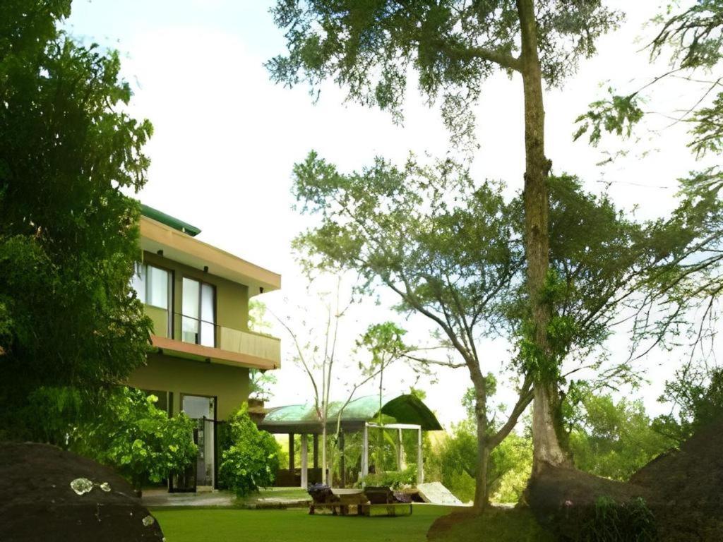 Mangrove Escapes Resort بينتوتا المظهر الخارجي الصورة