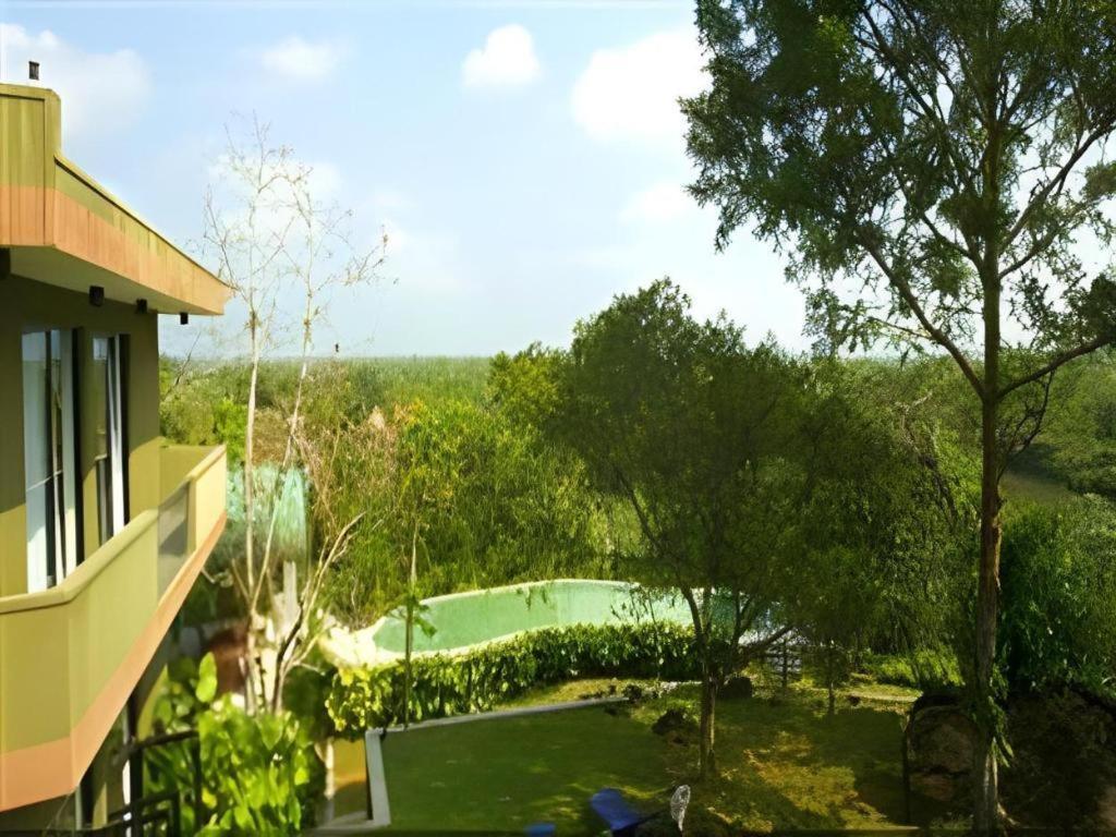 Mangrove Escapes Resort بينتوتا المظهر الخارجي الصورة