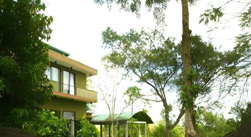 Mangrove Escapes Resort بينتوتا المظهر الخارجي الصورة