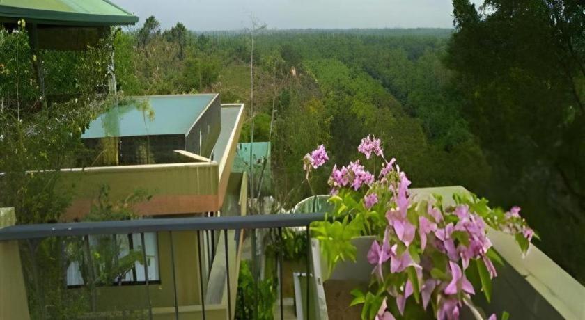 Mangrove Escapes Resort بينتوتا المظهر الخارجي الصورة
