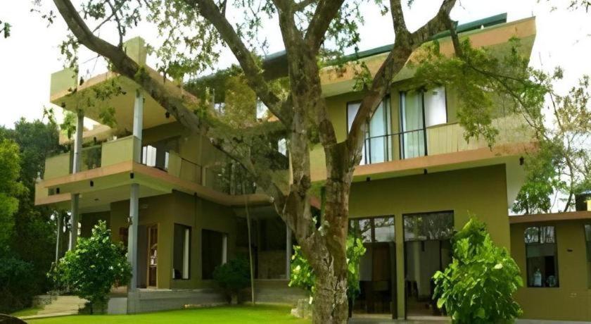 Mangrove Escapes Resort بينتوتا المظهر الخارجي الصورة