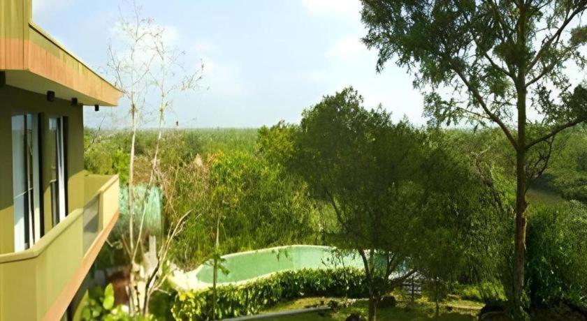 Mangrove Escapes Resort بينتوتا المظهر الخارجي الصورة