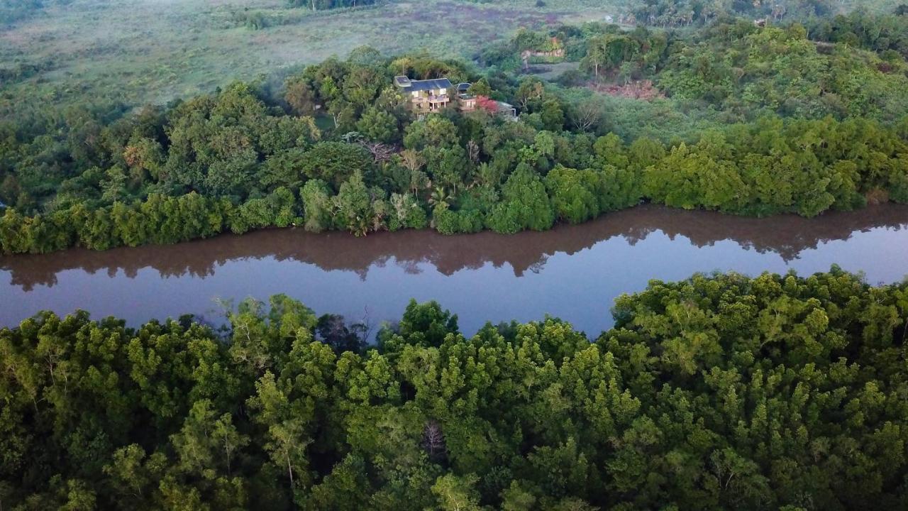 Mangrove Escapes Resort بينتوتا المظهر الخارجي الصورة