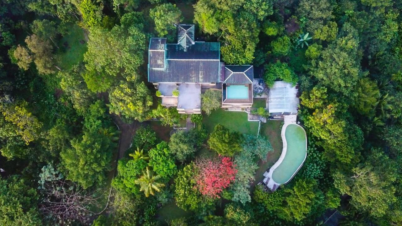 Mangrove Escapes Resort بينتوتا المظهر الخارجي الصورة