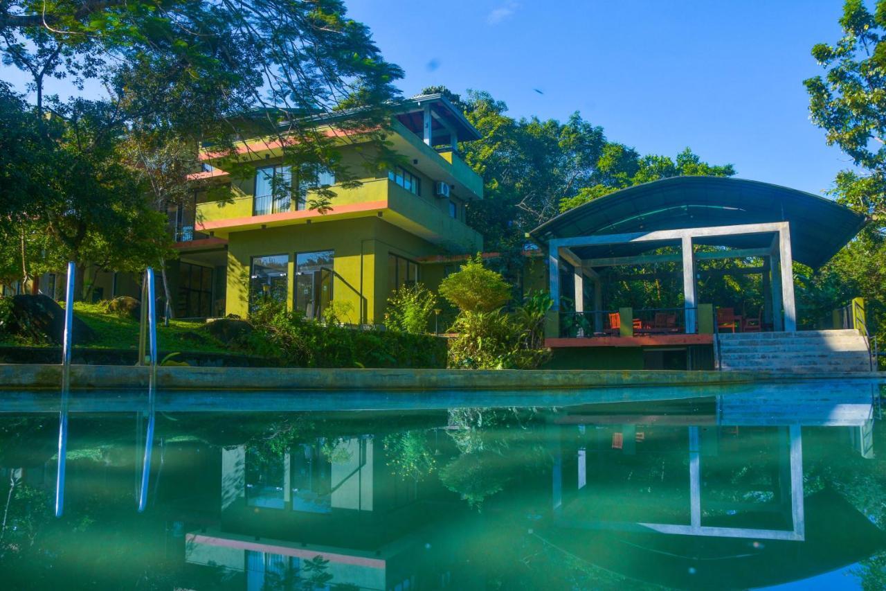 Mangrove Escapes Resort بينتوتا المظهر الخارجي الصورة