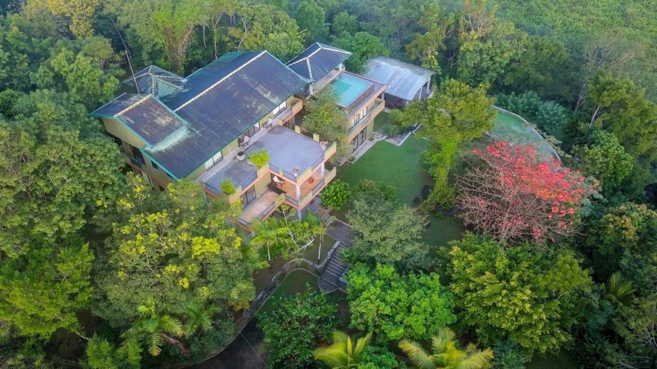 Mangrove Escapes Resort بينتوتا المظهر الخارجي الصورة
