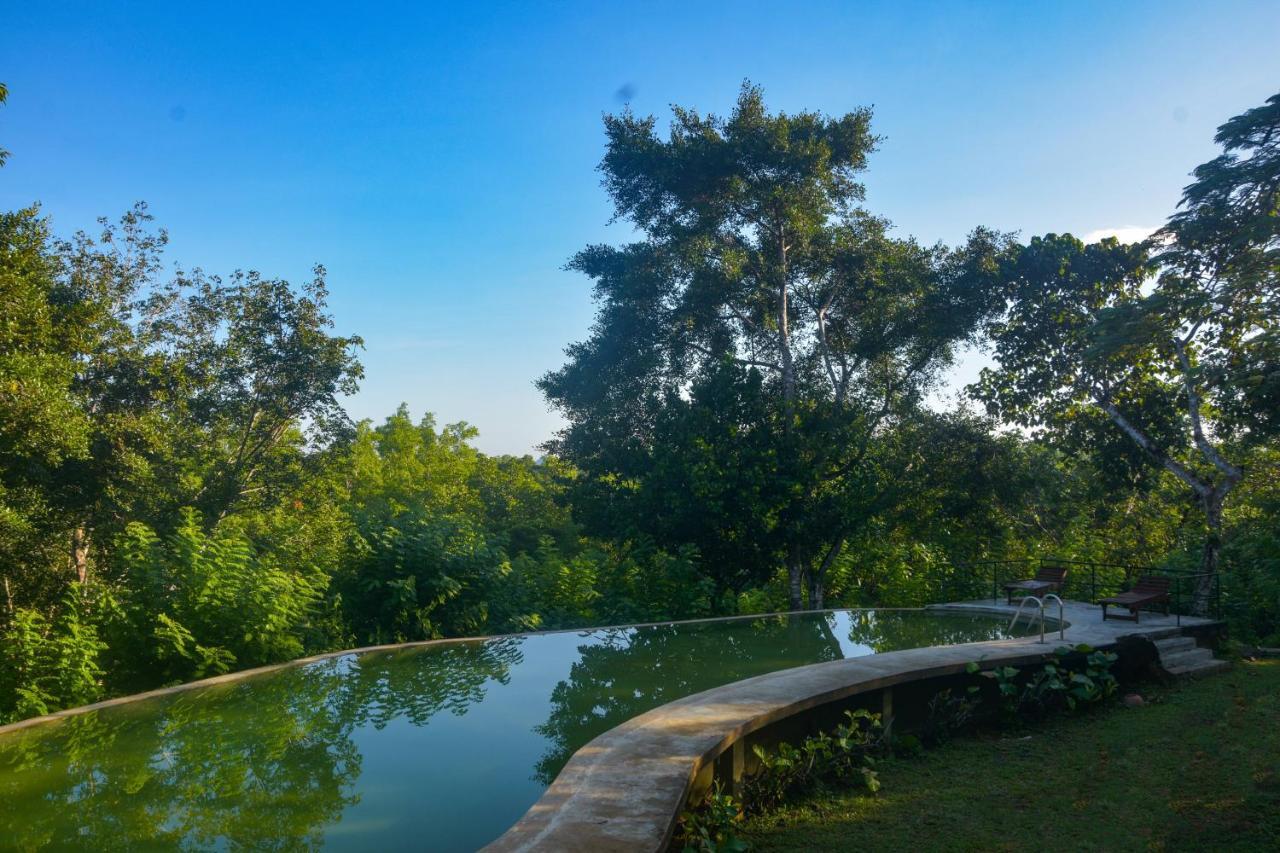 Mangrove Escapes Resort بينتوتا المظهر الخارجي الصورة